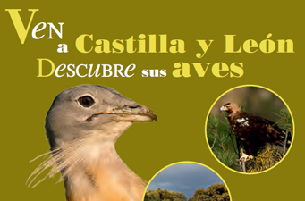 Ven a Castilla y León y Descubre sus Aves